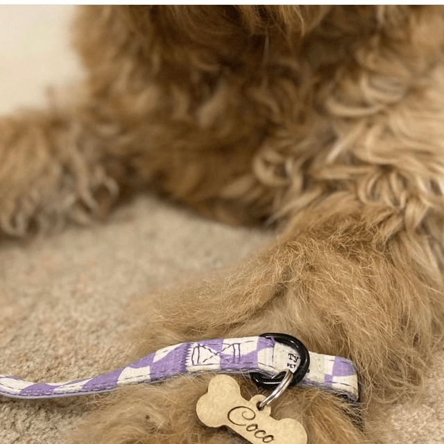 Dog Tags